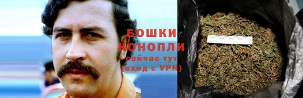 шишки Алексин