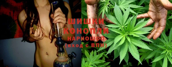 шишки Алексин
